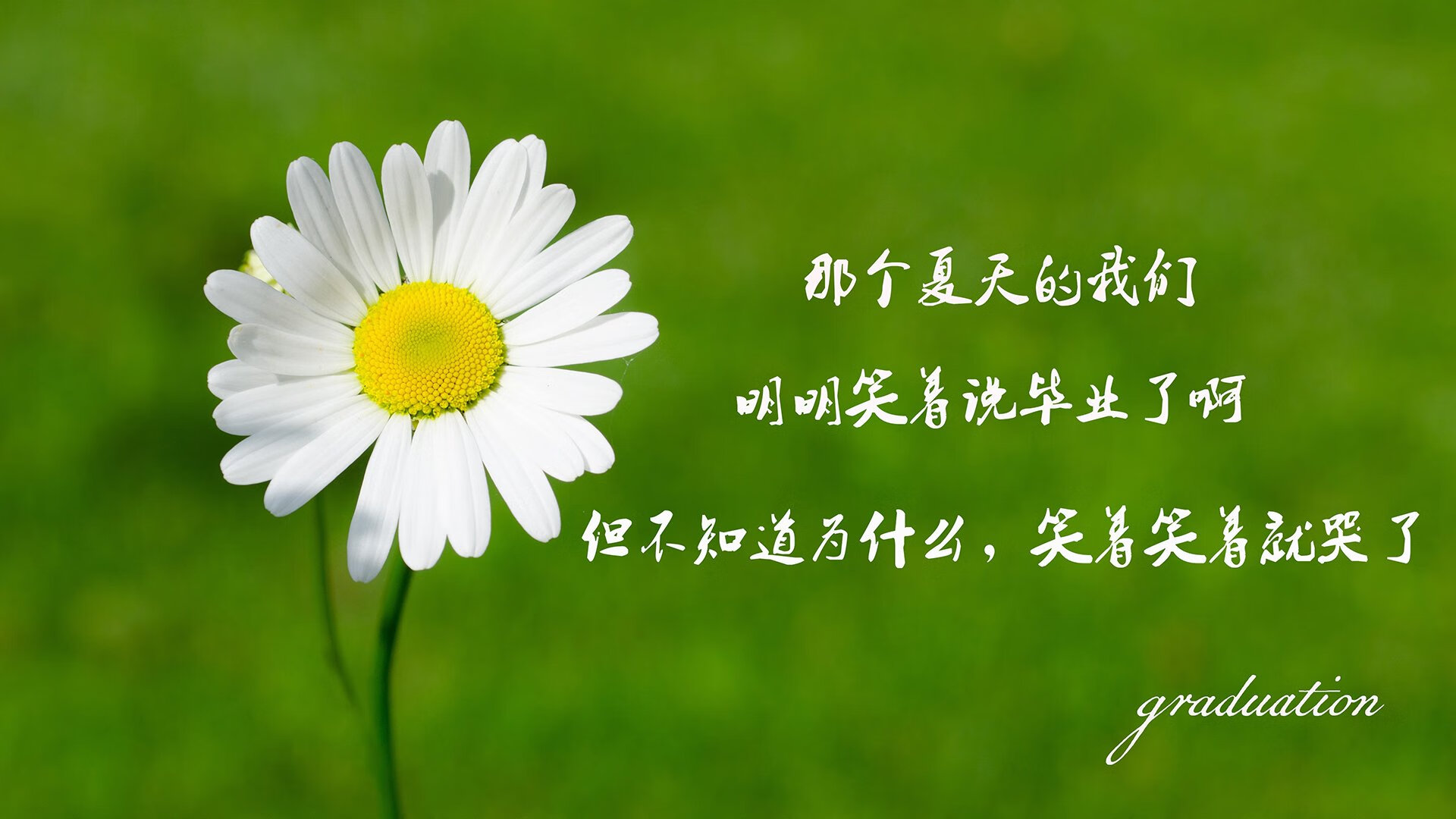 九游9游-_网球神话纪念赛：传承与创新共存的盛会_，网球球赛