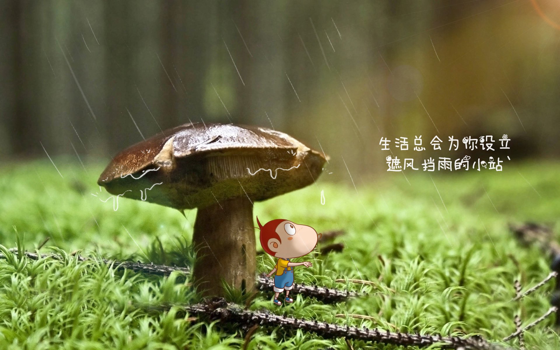 以足球+科技推动校园体育高质量发展，校园足球的推广和发展