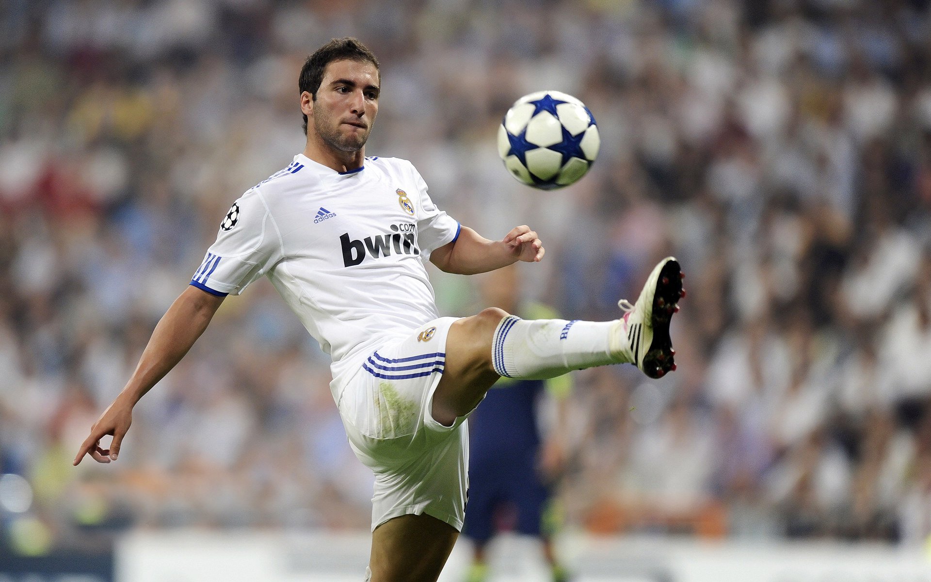 拜仁连续15场不败领跑德甲,拜仁几连胜