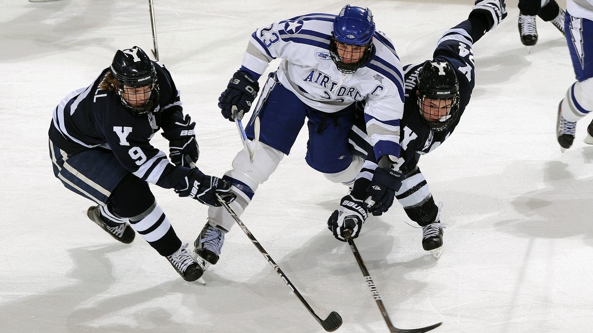 九游ios版-法国举办篮球知识讲座，法国举办篮球知识讲座的意义